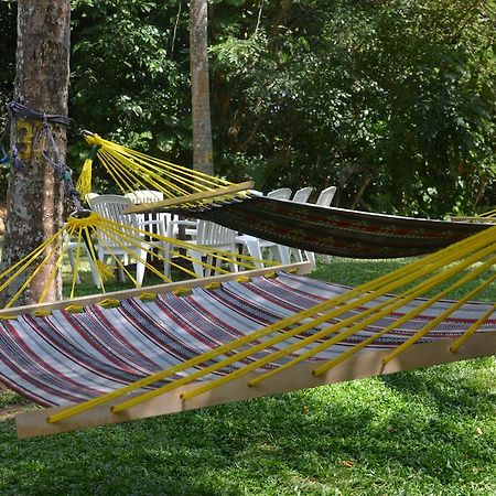 Jungle Beach Hostel Унаватуна Екстериор снимка