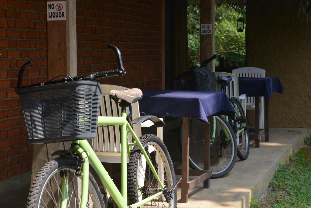 Jungle Beach Hostel Унаватуна Екстериор снимка